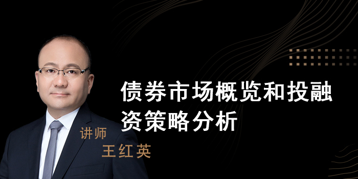 债券市场概览和投融资策略分析