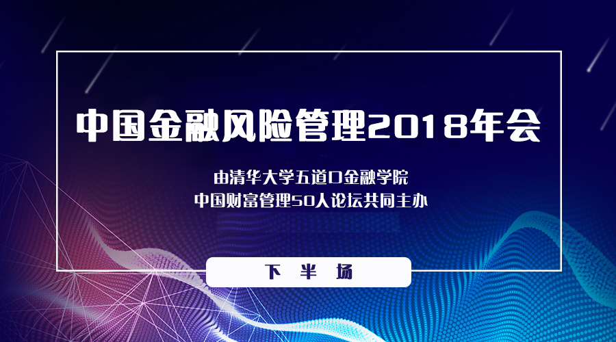 中国金融风险管理2018年会（下）