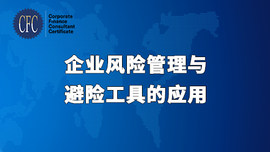 企业金融风险管理与避险工具应用