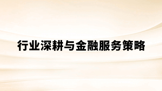 行业深耕与金融服务策略