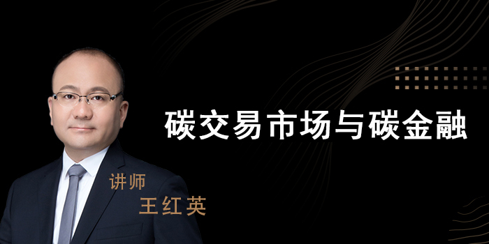 碳交易市场与碳金融