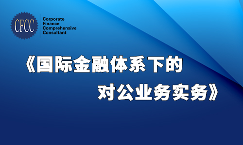 国际金融体系下的对公业务实务 2018