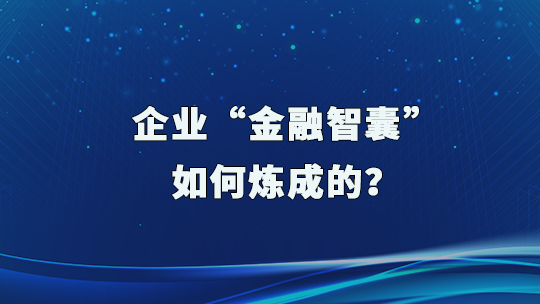 企业“金融智囊”是如何炼成的
