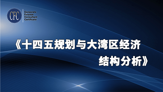 十四五规划与大湾区经济结构分析