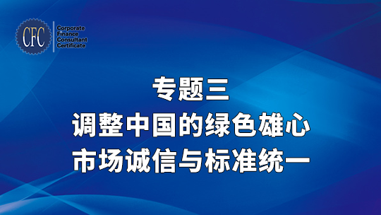 【专题三】调整中国的绿色雄心：市场诚信与标准统一